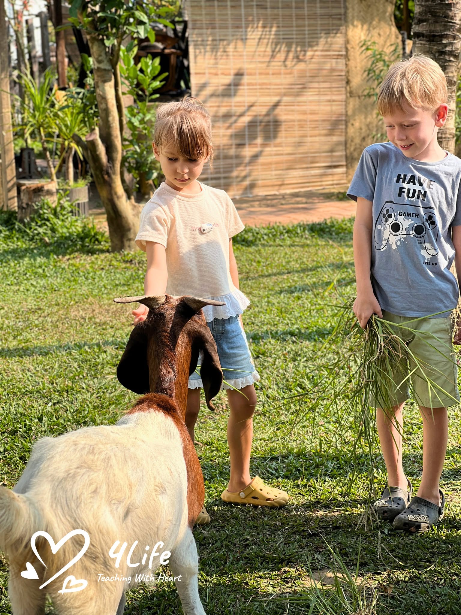 Tự do trong giáo dục montessori