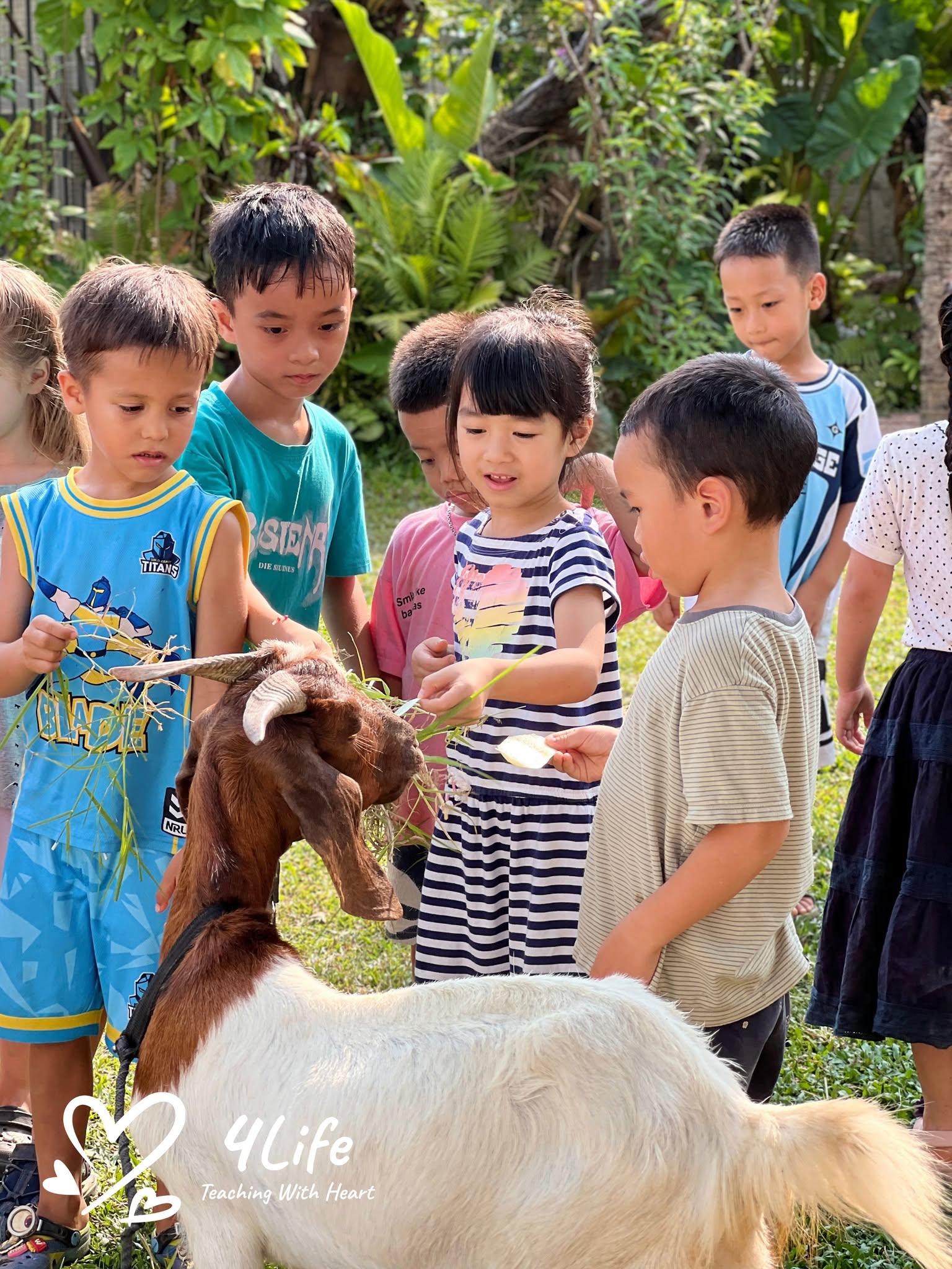 Tự do trong giáo dục montessori