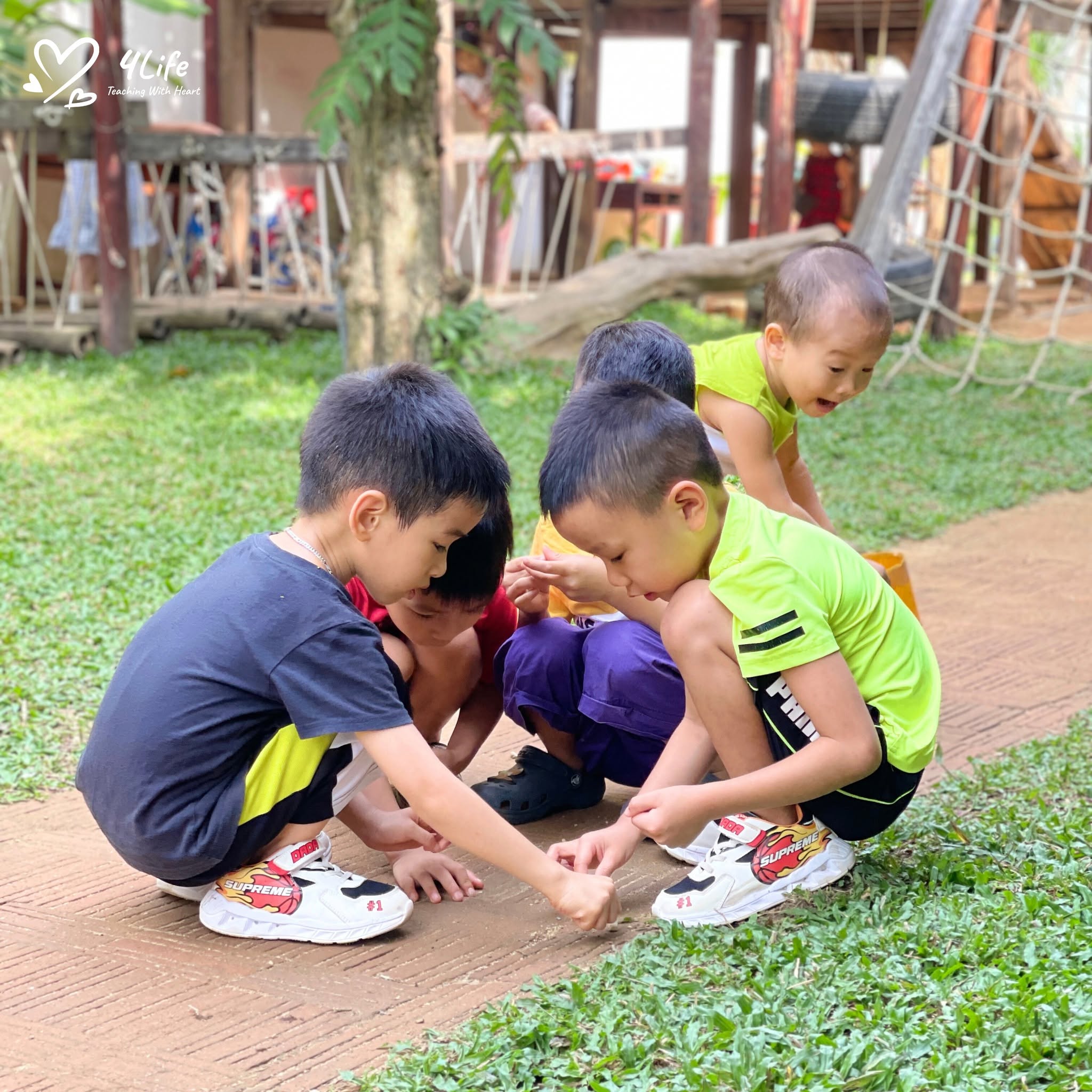 Sự Tự Do Trong Montessori