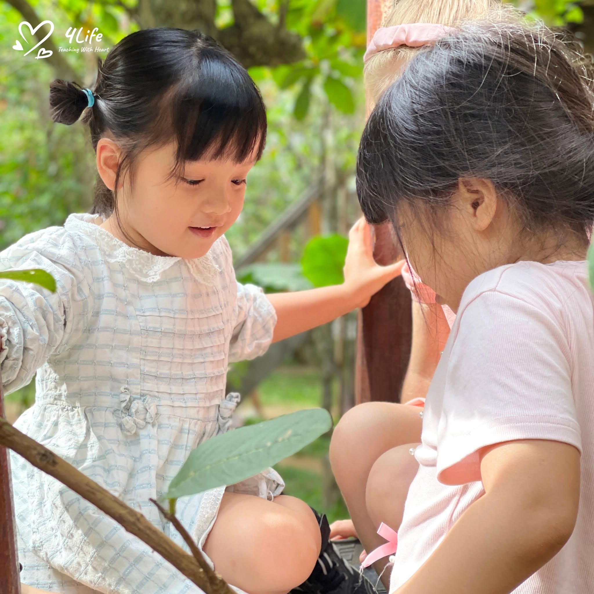 Sự Tự Do Trong Montessori