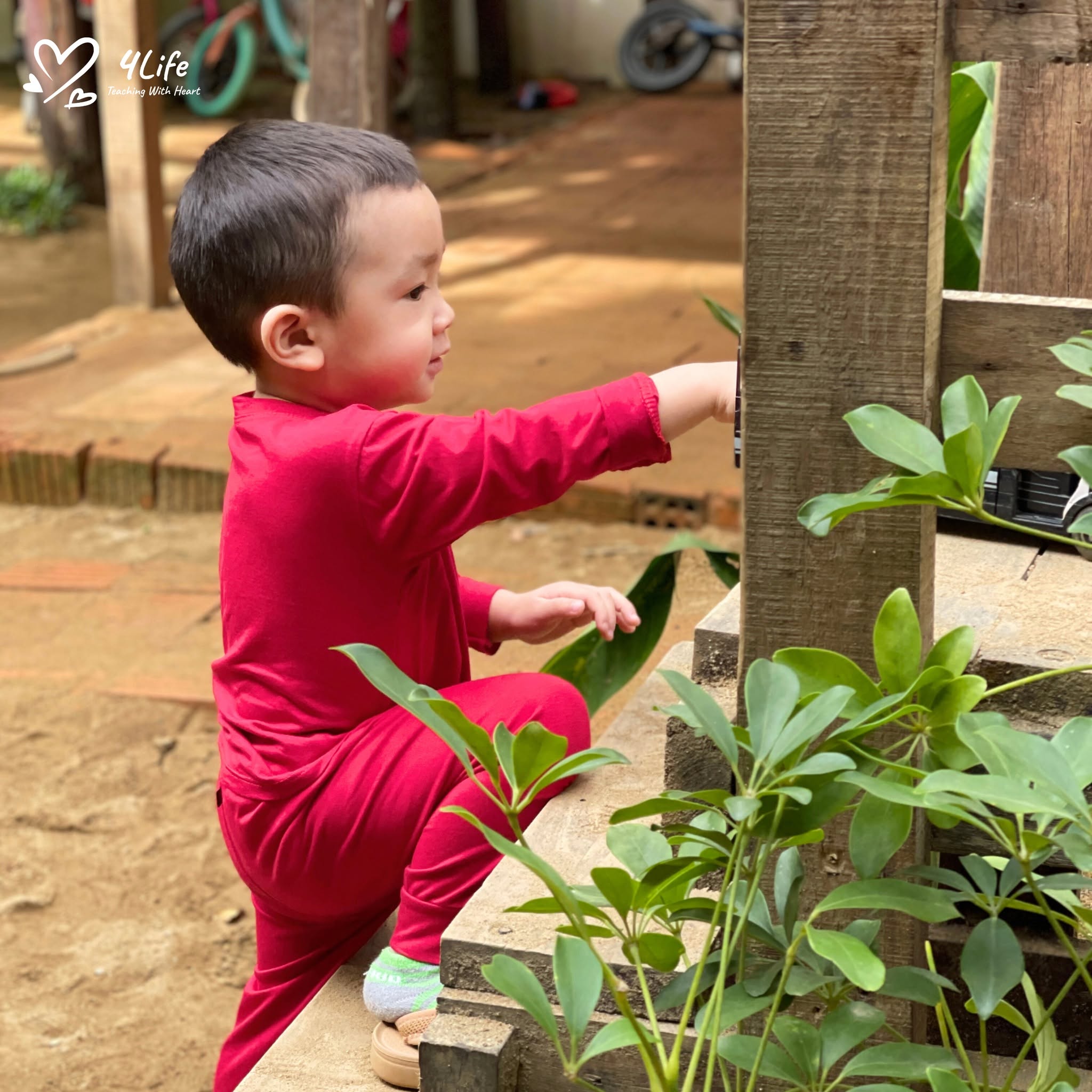 Sự Tự Do Trong Montessori